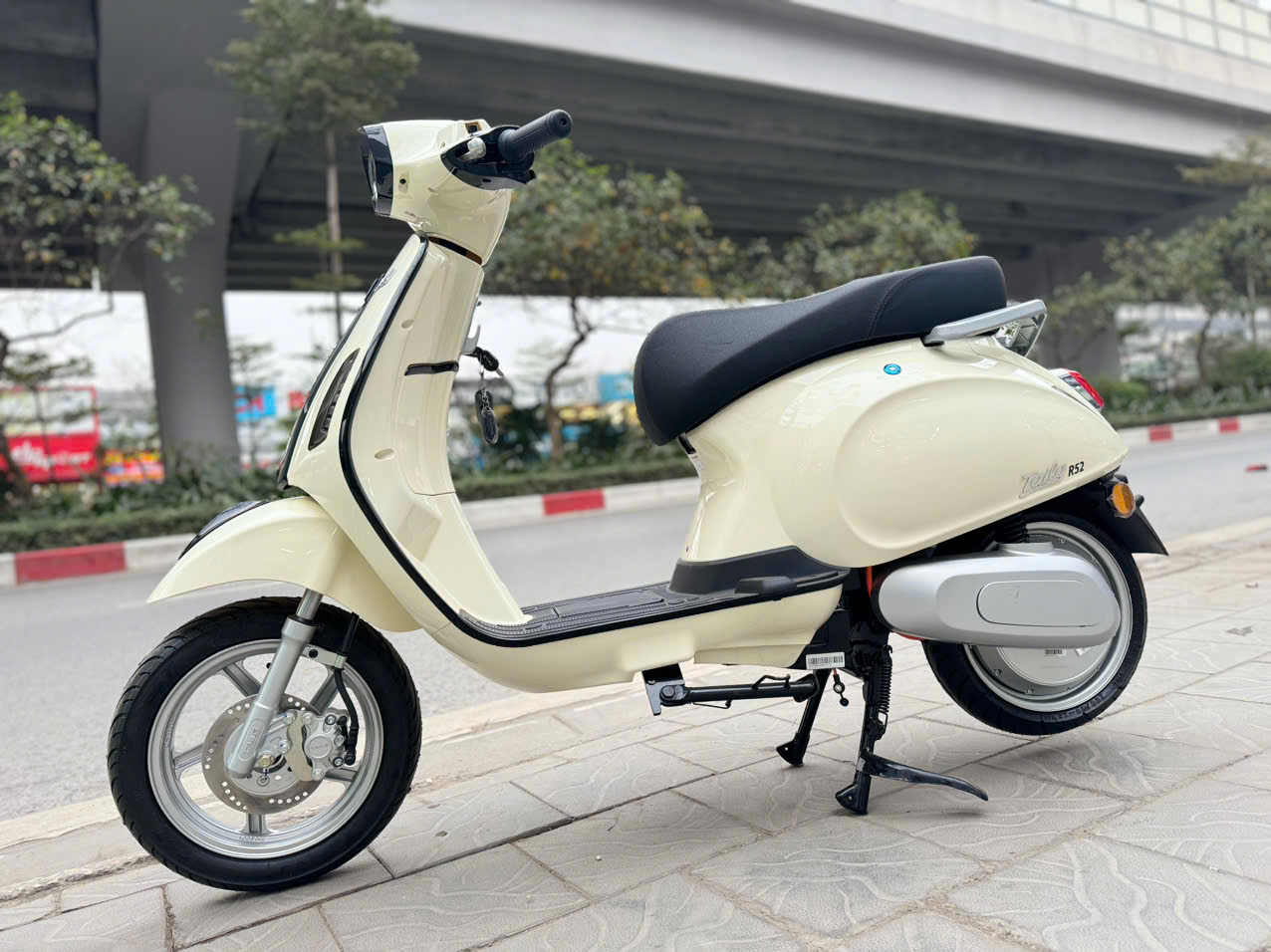 Xe Máy Điện Tailg Vera R52